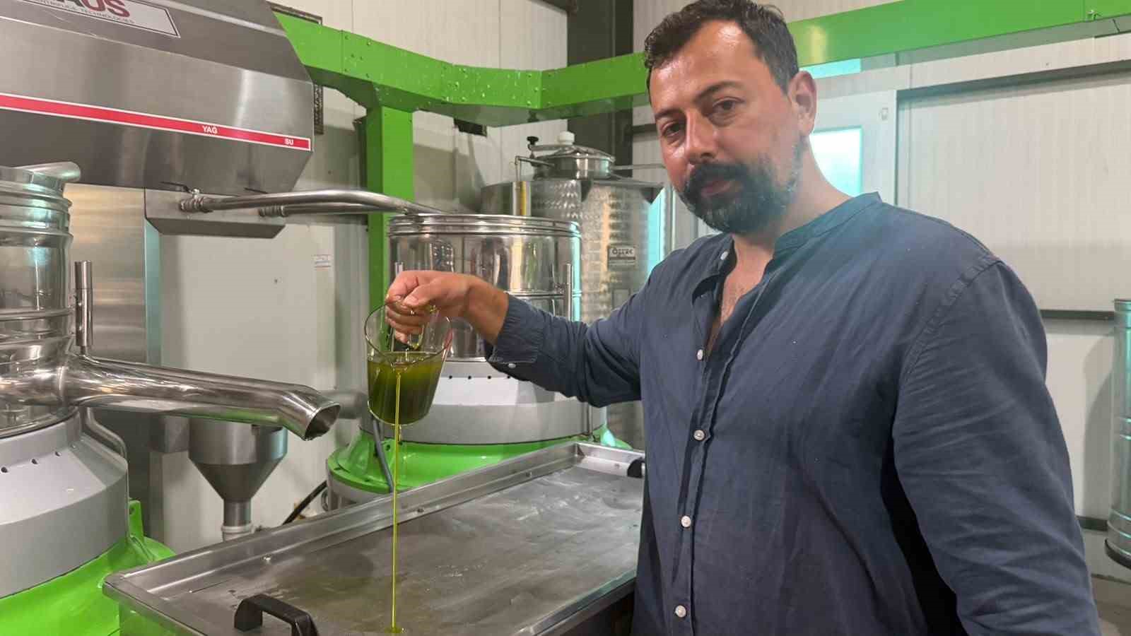 Avrupa ilaç yerine ilk hasat zeytinyağı içiyor
