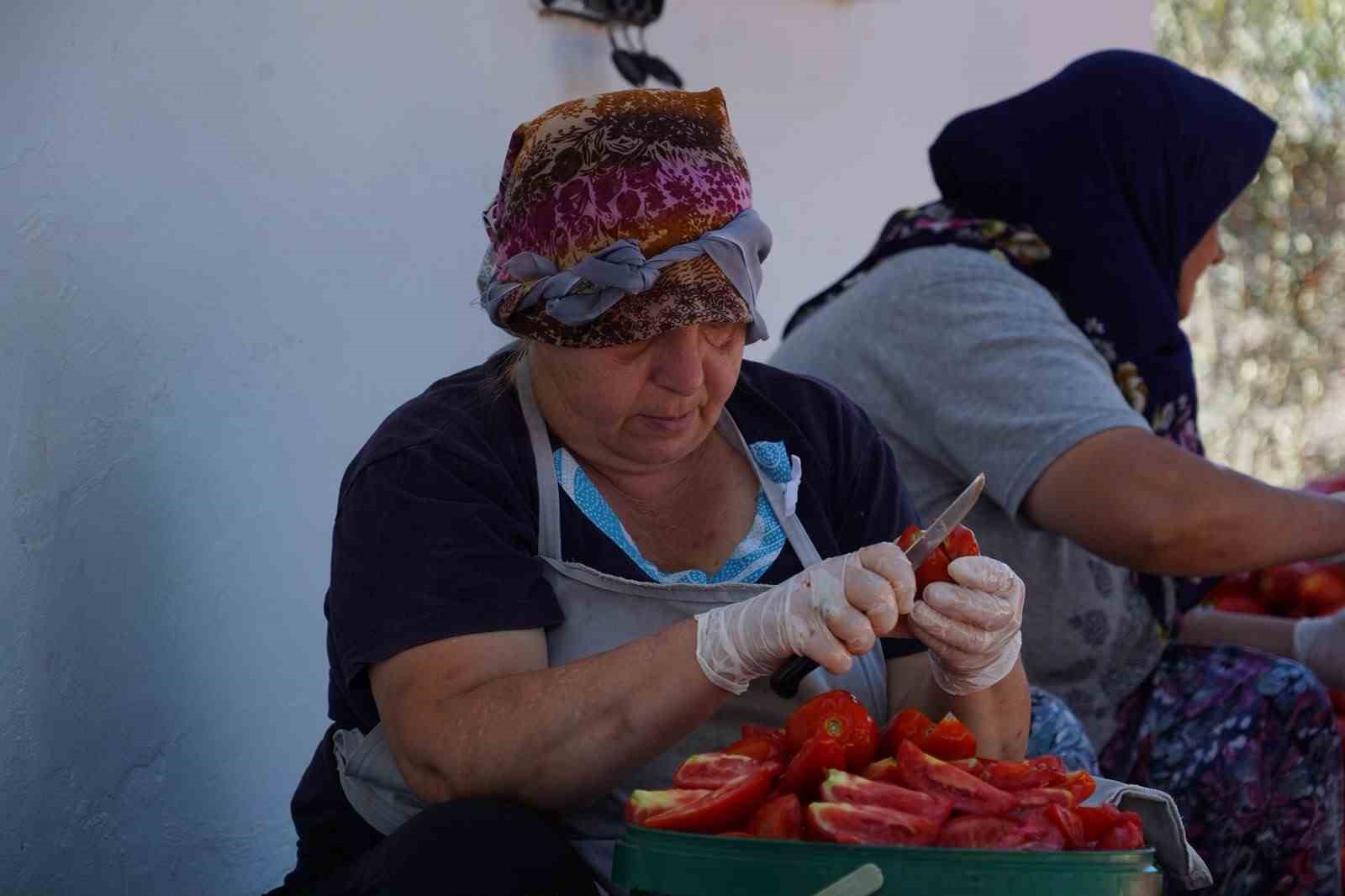 Ayvalık’ta güneş ile lezzet buluşuyor
