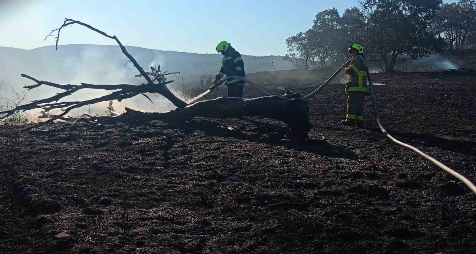 Balıkesir İtfaiyesi temmuz ayında bin 521 olaya müdahale etti

