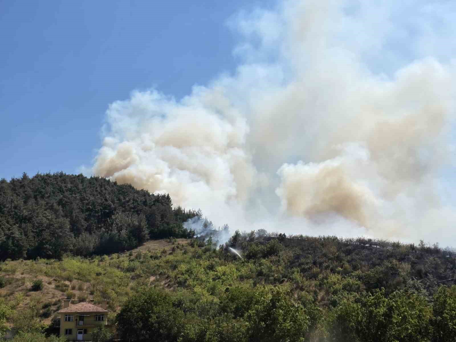 Balıkesir’de otluk alanda başlayan yangın ormana sıçradı
