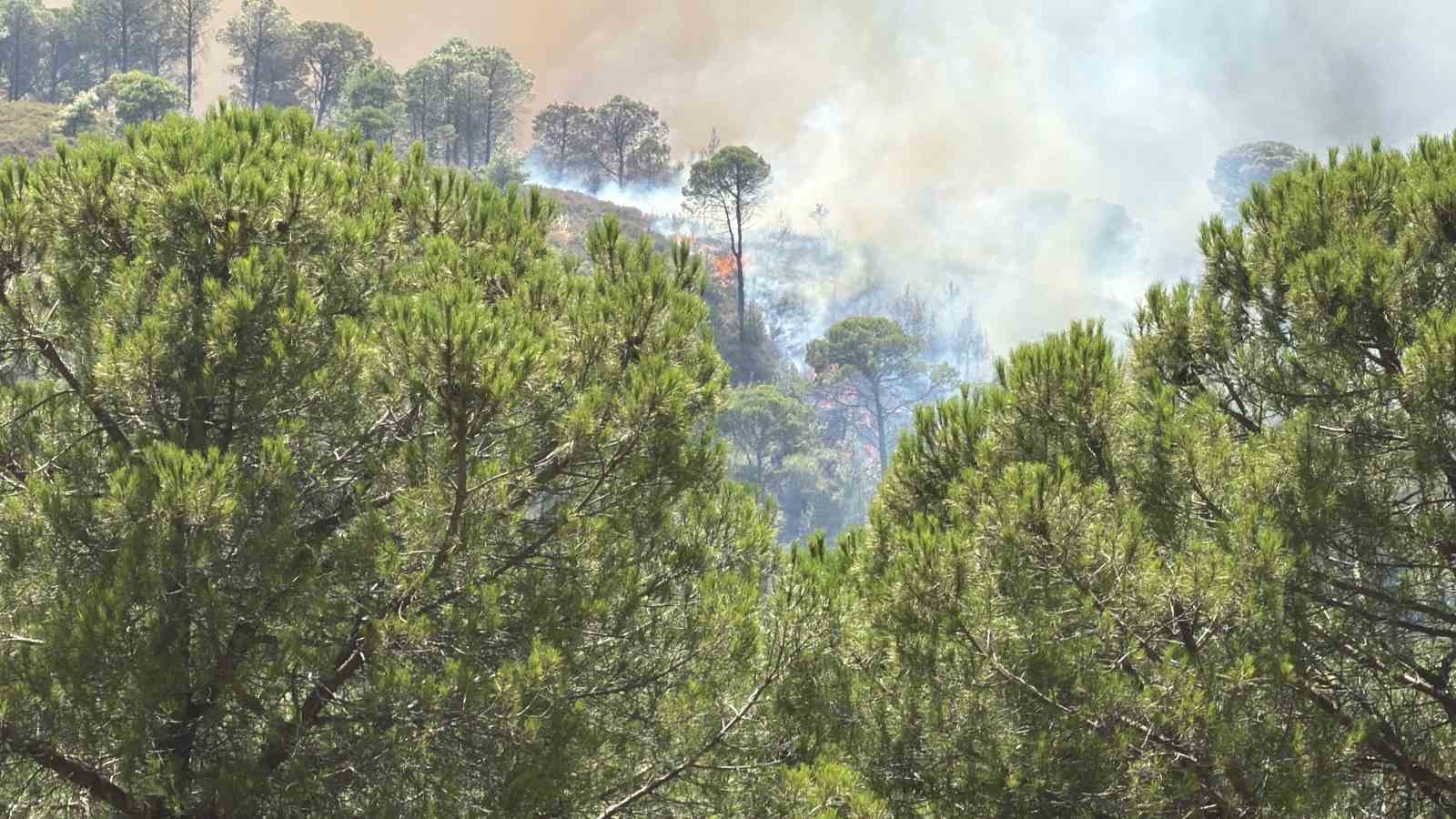 Balıkesir’deki yangın tekrar yayılıyor
