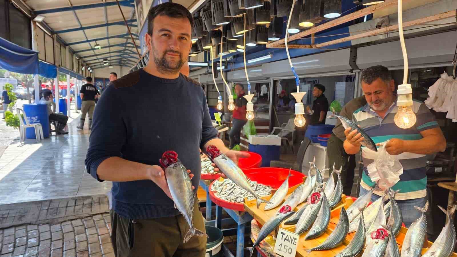 Bandırma’da balık tezgâhlarında palamut bereketi
