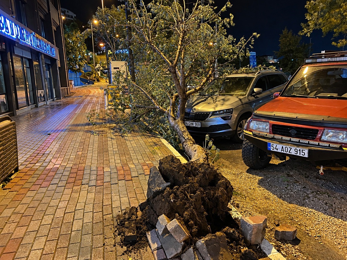 Bandırma’da fırtınada kökünden sökülen ağaç aracın üzerine devrildi
