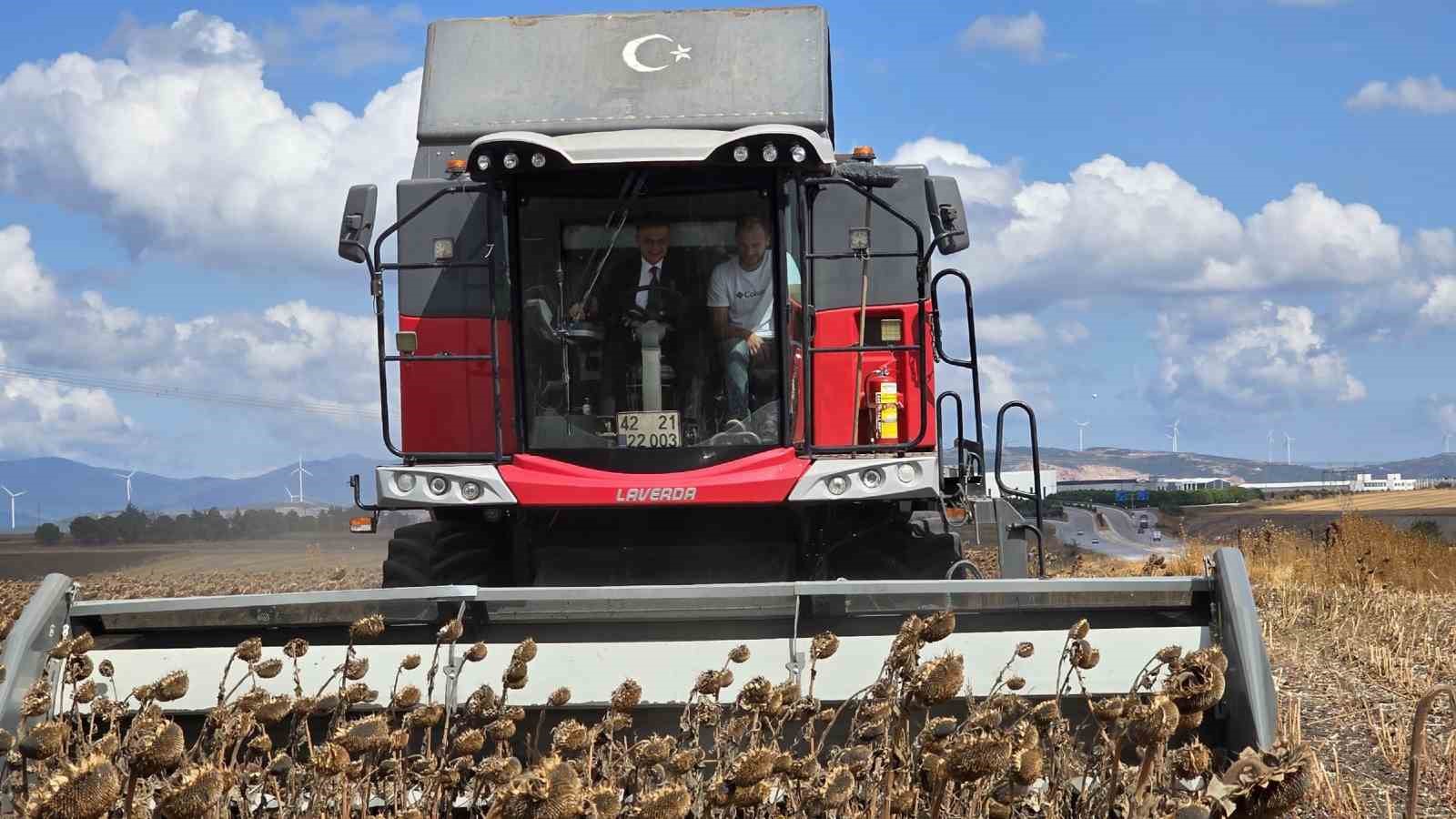 Bandırma’da kaymakam tarlaya indi, ayçiçeği hasadına katıldı
