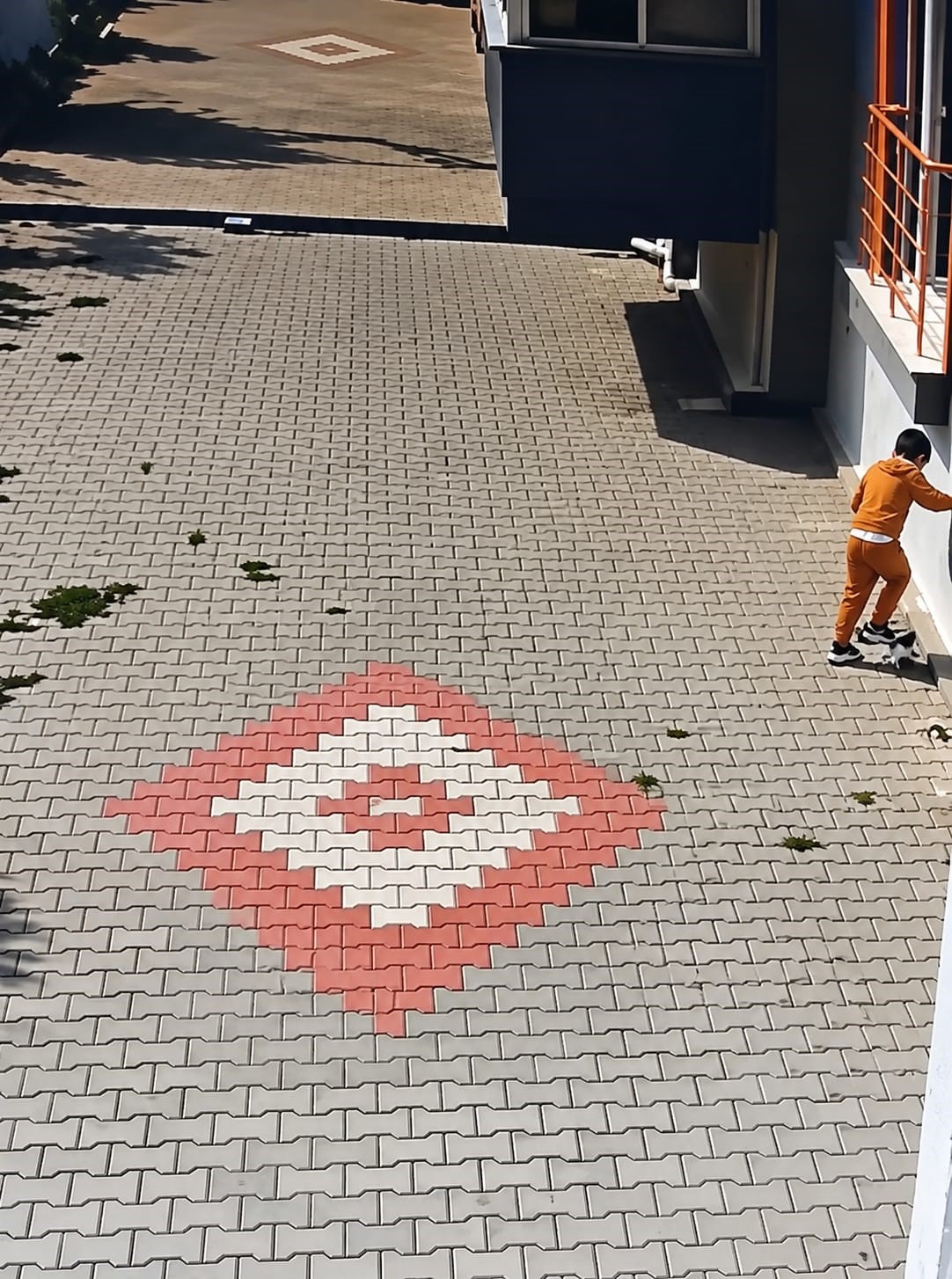 Bandırma’da kediye işkence iddiası tepki çekti
