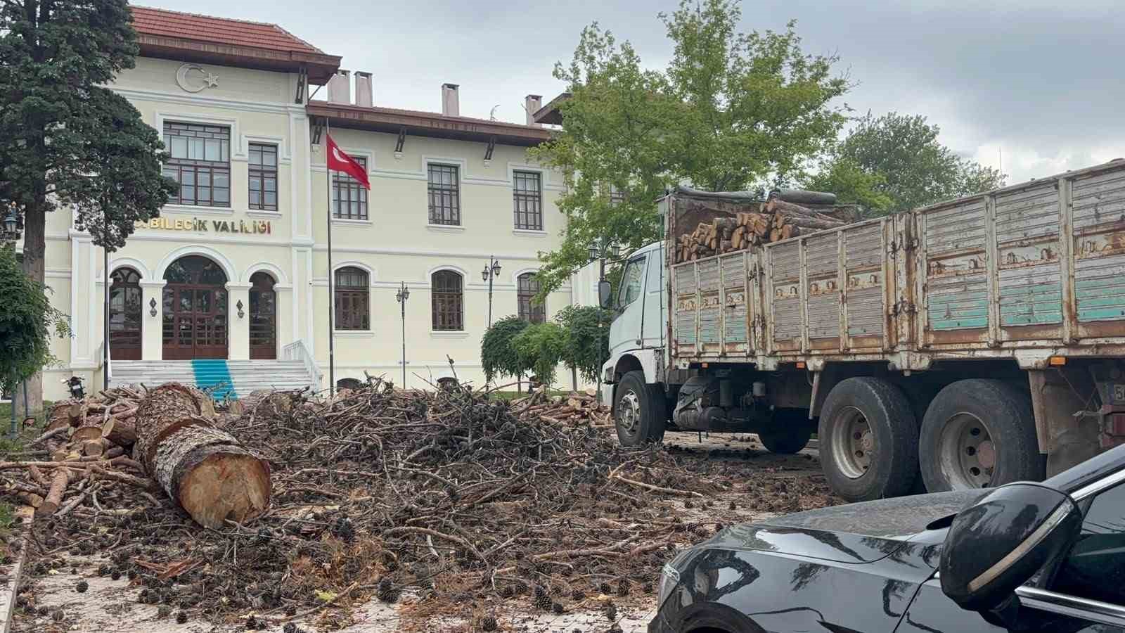 Bilecik Valiliği bahçesindeki dev çam ağaçları kesildi
