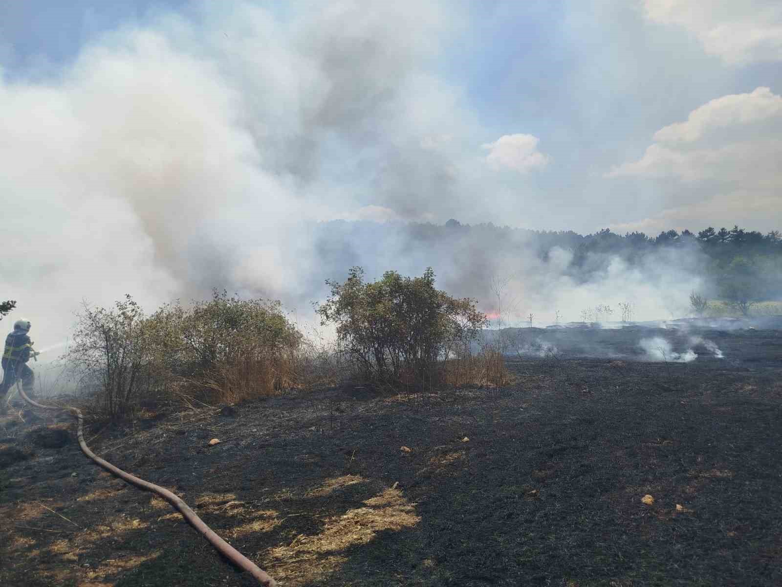 Bilecik’te çıkan yangında 30 dönümlük hasadı yapılmış buğday tarlası kül oldu
