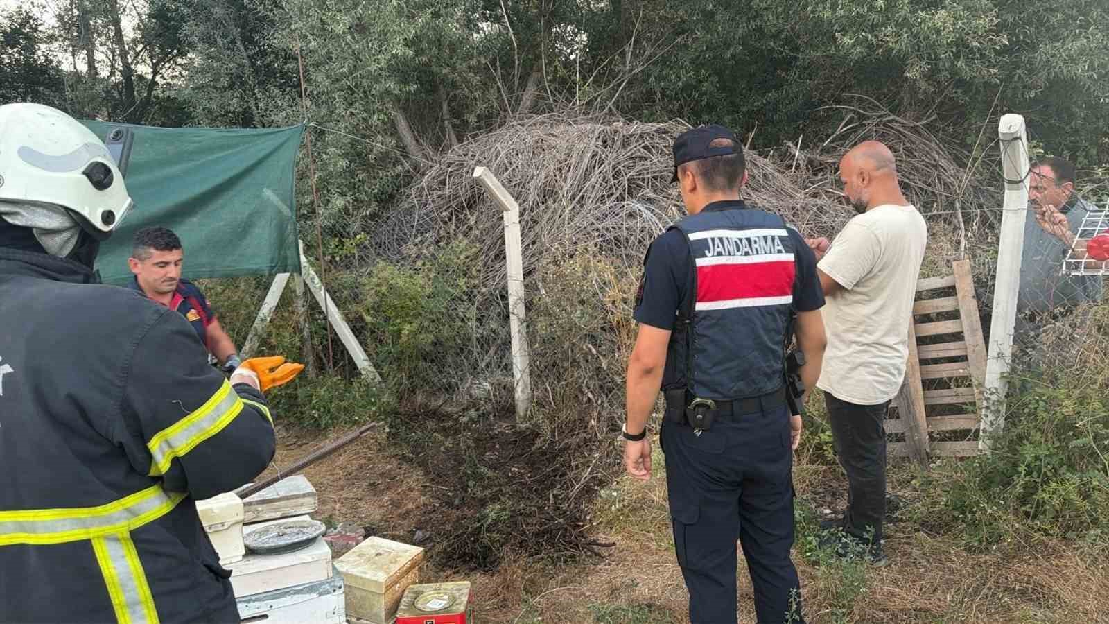 Bilecik’te ot ve çalılık yangını büyümeden söndürüldü

