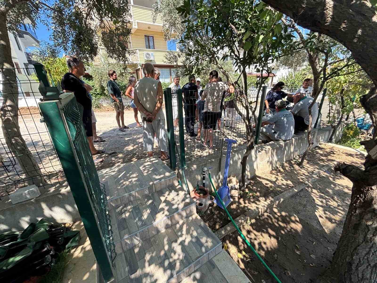Burhaniye’de ağaç kesilmesine isyan
