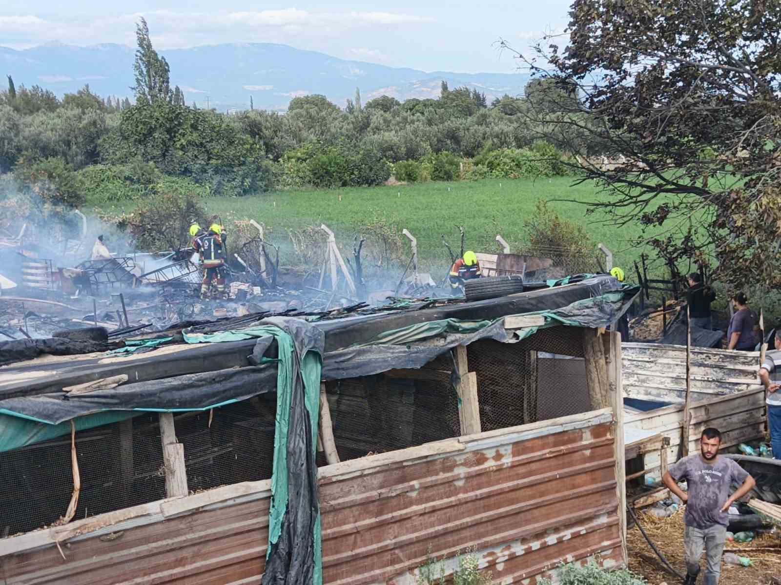 Burhaniye’de ahır yangını paniğe neden oldu
