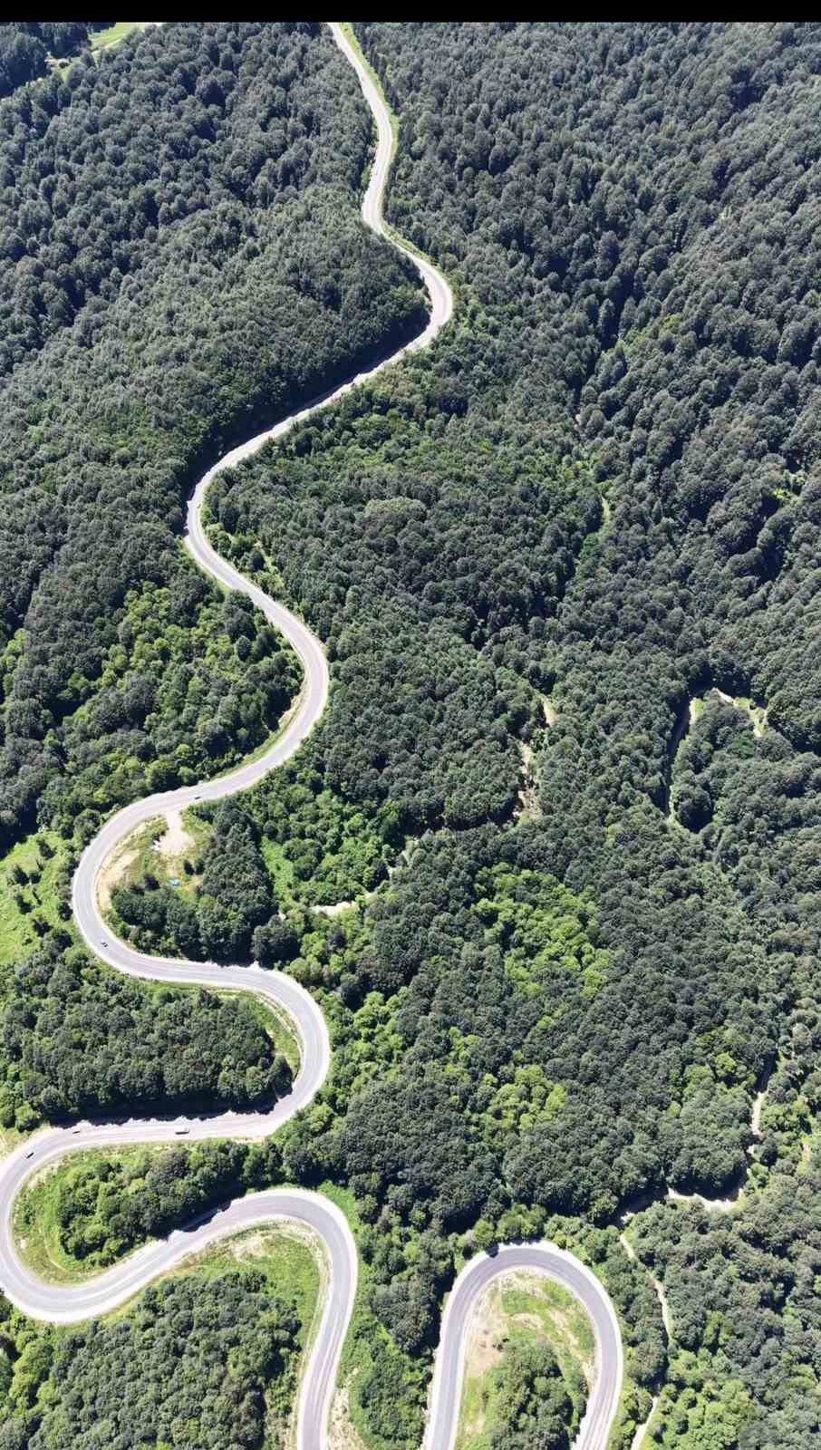 Bursa ormanlarında kartpostallık görüntüler
