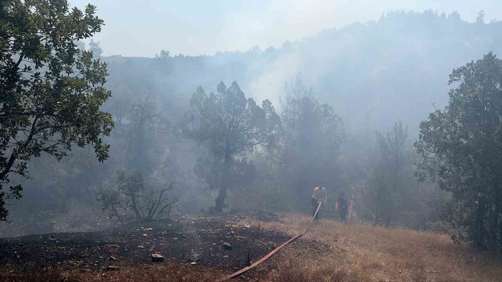 Bursa’da orman yangınına havadan ve karadan müdahale
