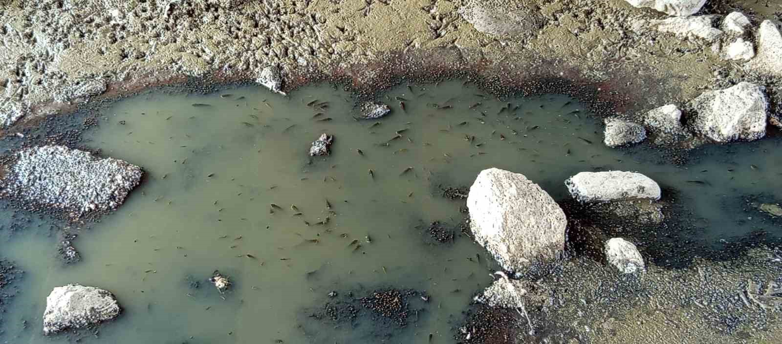 Bursa’da Oscarlık kurtarma operasyonu
