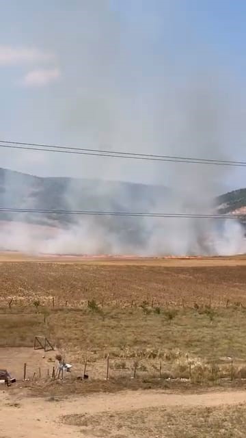Bursa’da tarlalık alanı ateşe veren şüpheli yakalandı
