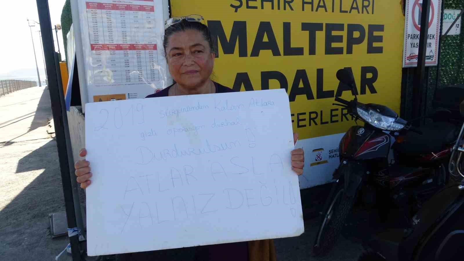 Büyükada’da kalan son 16 at için ‘gizli sevk’ iddiası: Hayvanseverlerden "işlemleri durdurun" çağrısı
