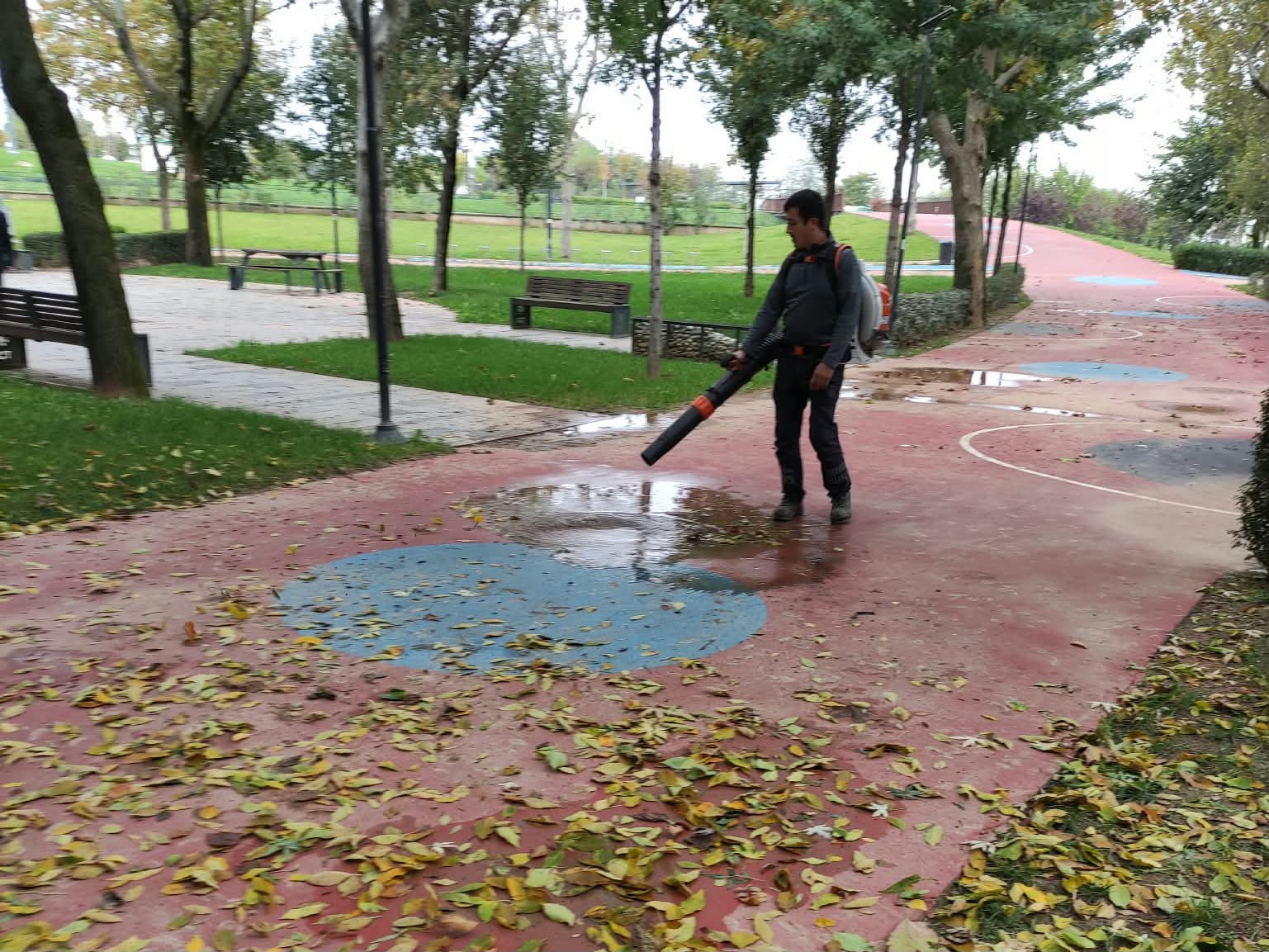Büyükşehir’den park ve bahçelere düzenli bakım
