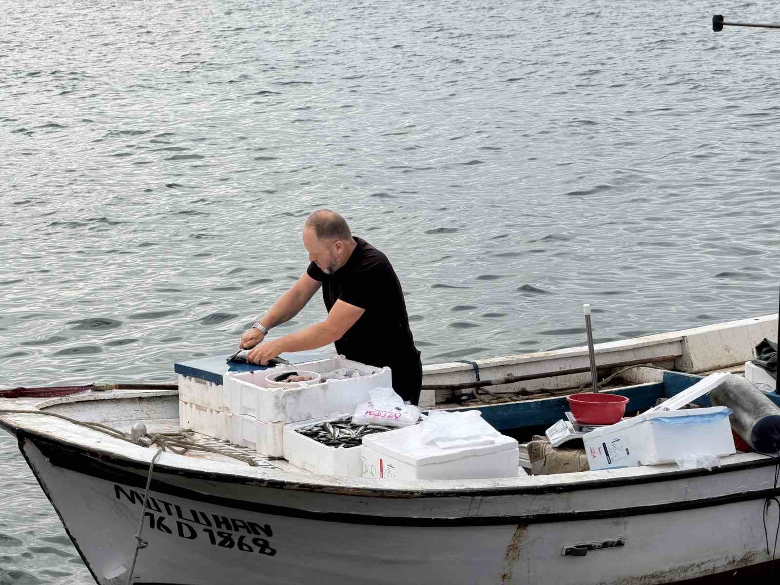 Denizden direkt sofraya balık
