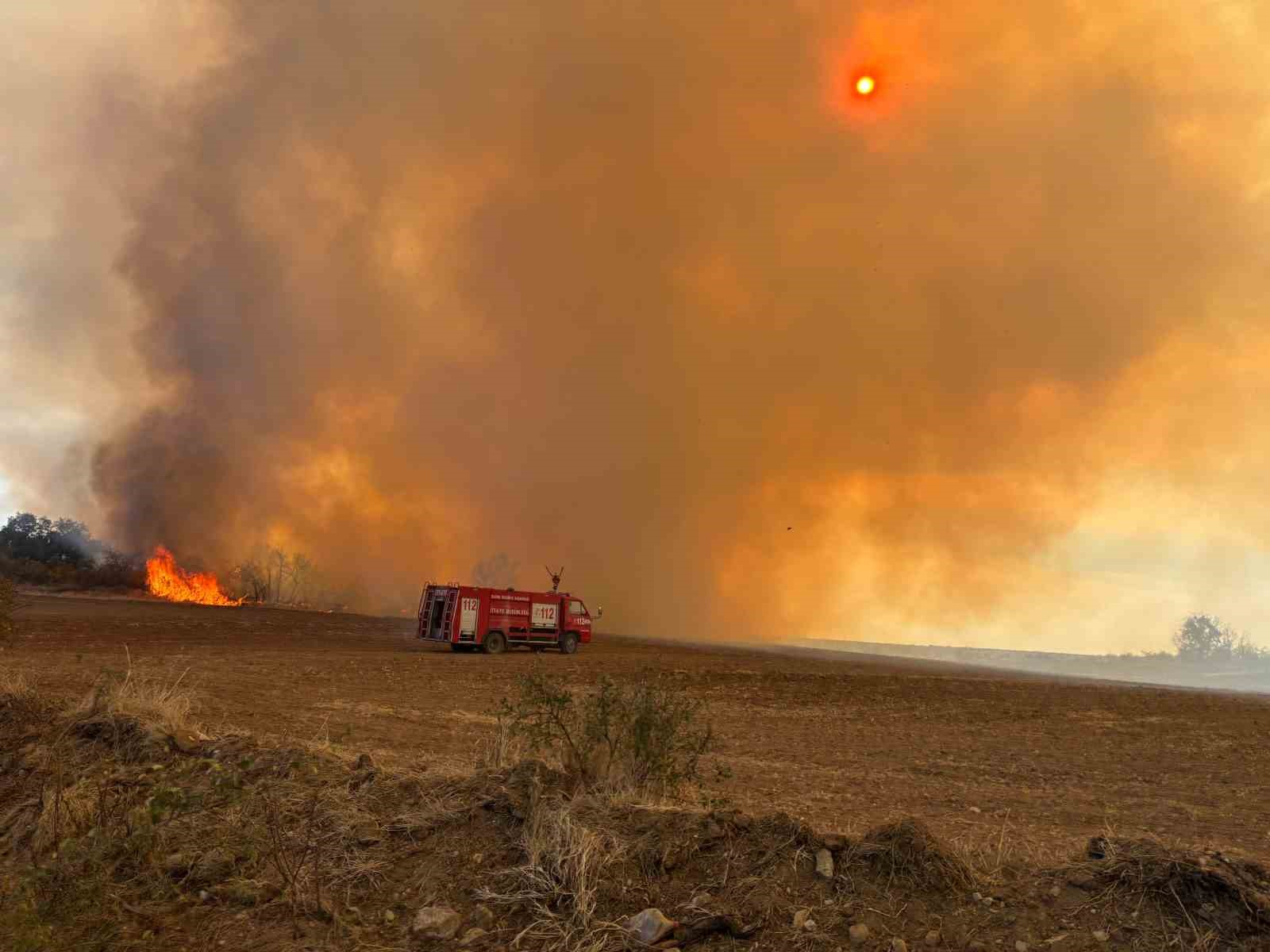 Edirne’de anız yangını: Kaplumbağalar ve yabani hayvanlar da etkilendi
