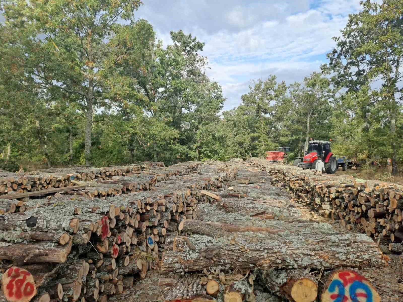 Edirne’de köy halkına kışlık yakacak odunlar dağıtılıyor
