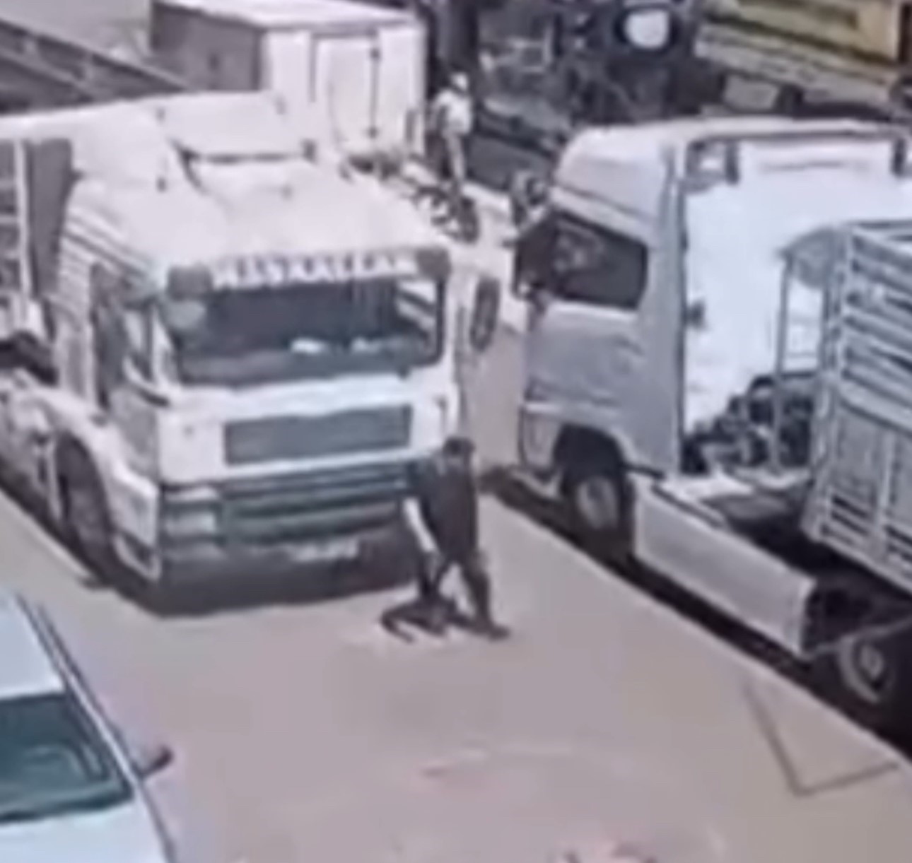Edirne’de tırın altında kalan yaya hayatını kaybetti
