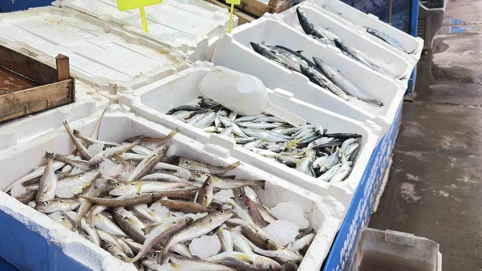 Fırtına balık tezgahlarını hareketlendirdi: Karaburun’da palamut bolluğu
