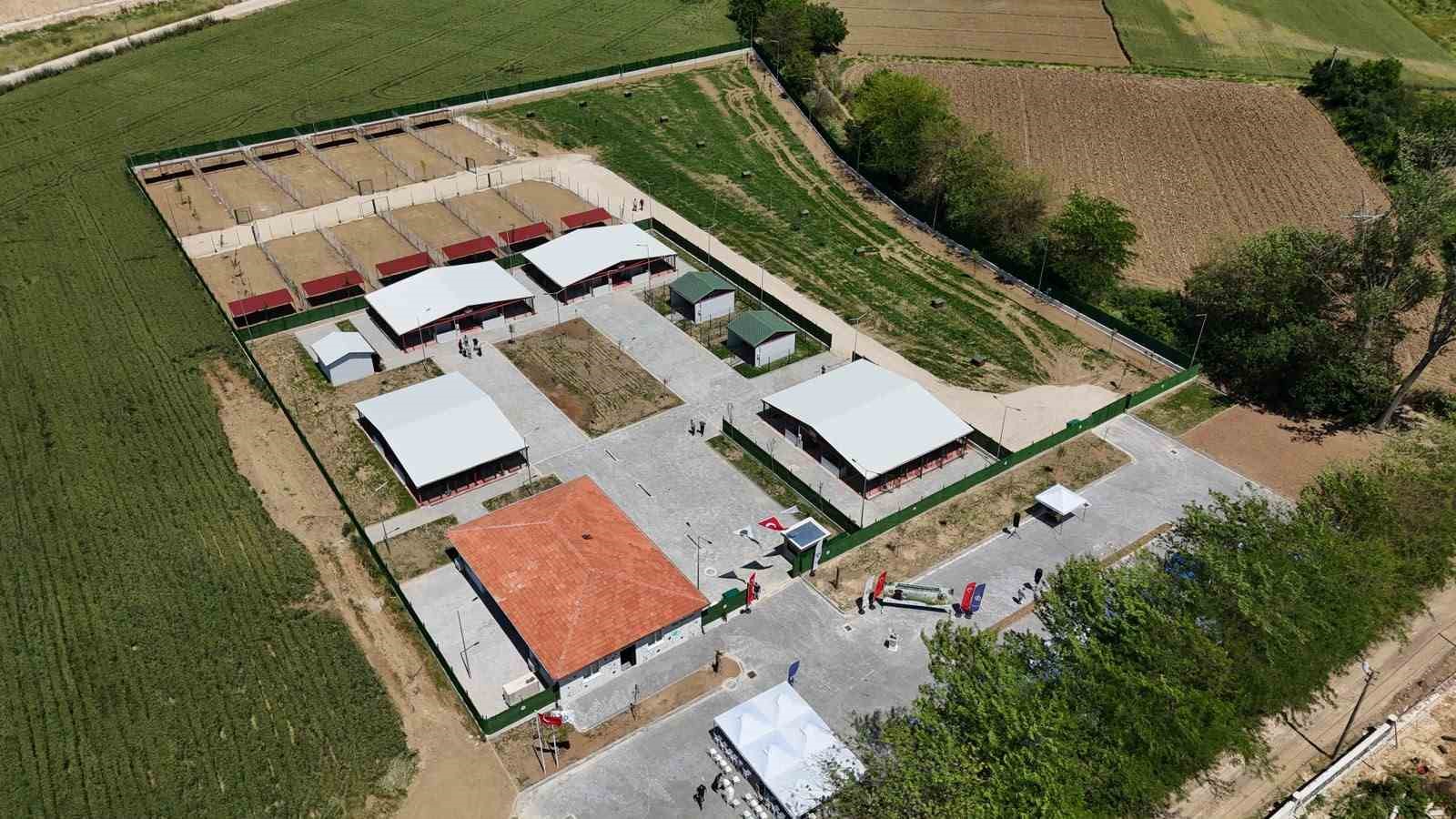 Güney Marmara’nın en modern hayvan bakım evi Yenişehir’e açıldı
