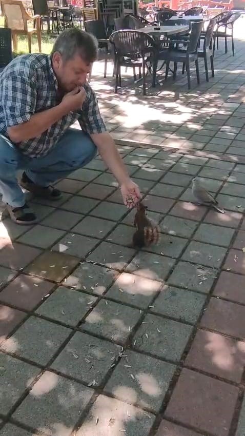 İnegöl’de sincap ve kumruyu elleriyle besledi
