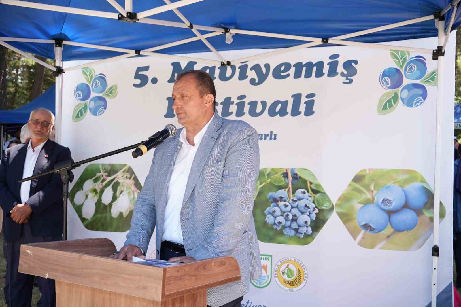 İznik’te 5. Maviyemiş Festivali’ne yoğun ilgi
