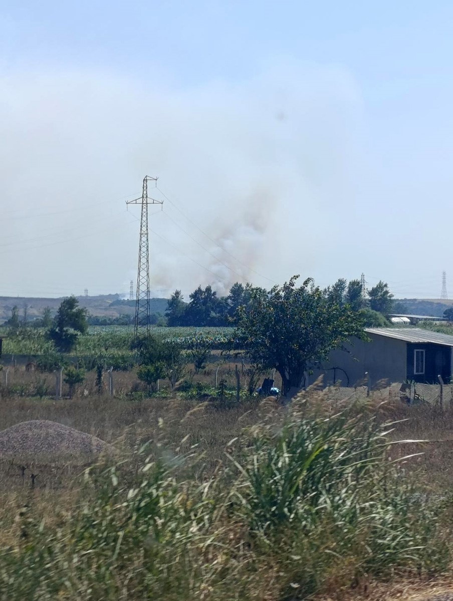 Karacabey’de makilik alanda orman yangını
