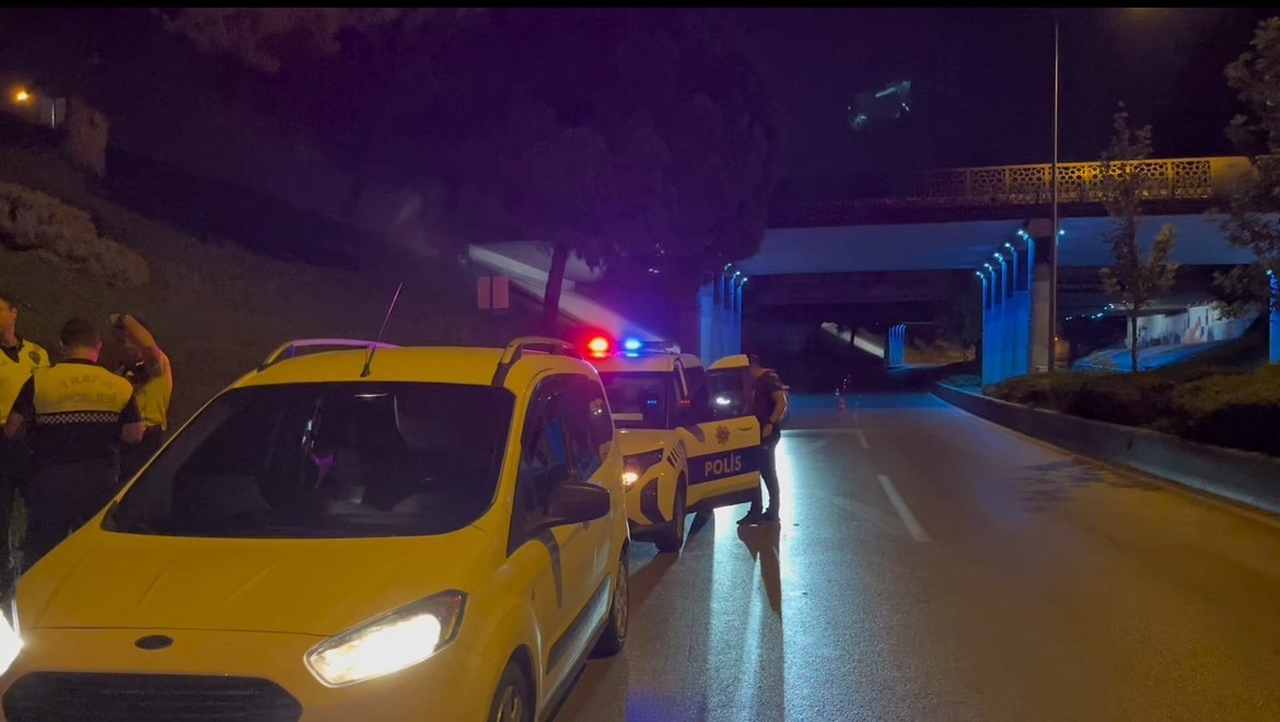 Kardeş kavgası babayı yola, polisi sokağa döktü
