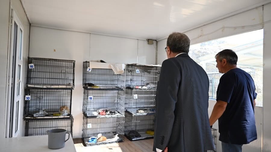 Kaymakam Helvacı’dan hayvan bakımevinde yerinde inceleme
