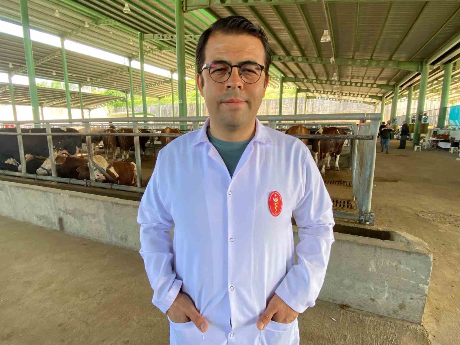 Kene tehdidine dikkat: 200’den fazla hastalık etkeni taşıyabiliyor
