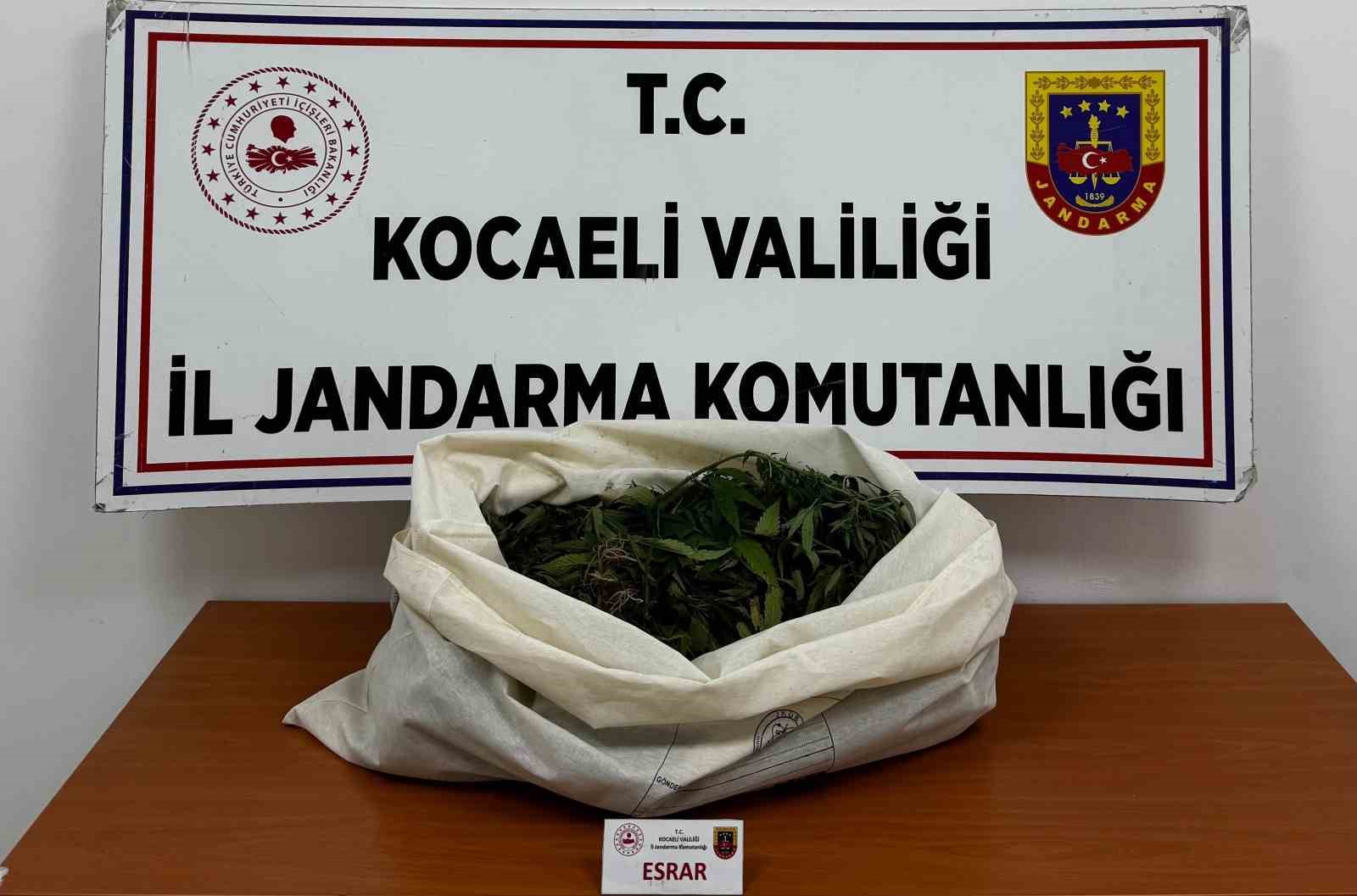 Kocaeli’de jandarmadan 4 ilçede uyuşturucu operasyonu
