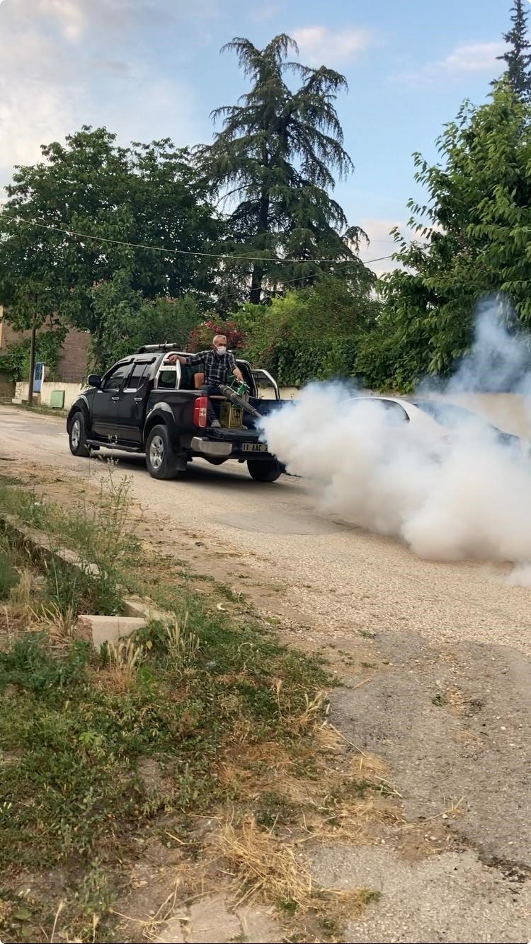 Köyündeki sinek sorununa bizzat kendisi el attı
