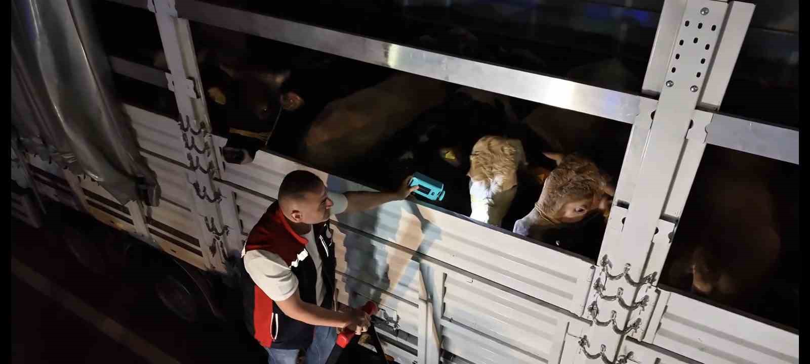 Kurban Bayramı öncesi İstanbul’da sevk noktalarında yoğun mesai
