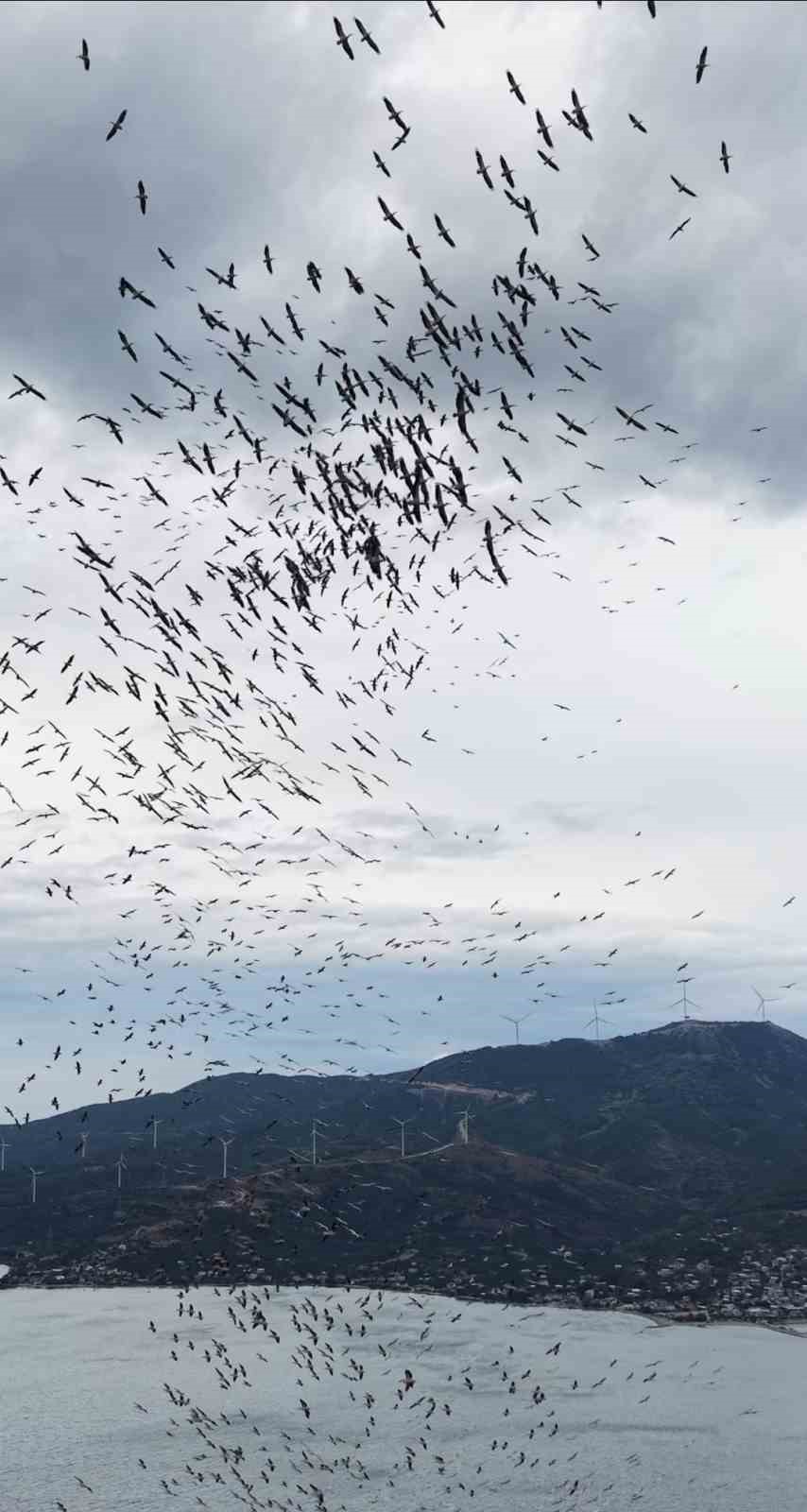 Marmara Denizi’nde belgeselleri aratmayan görüntüler
