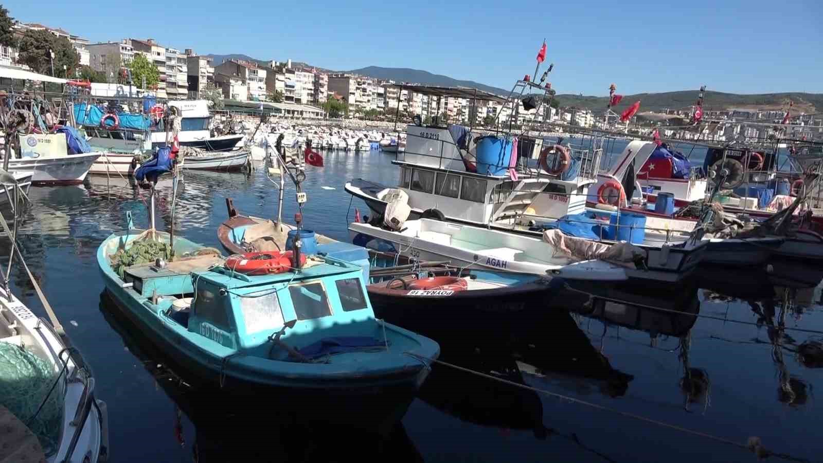 Marmara’nın emektar balıkçıları, müsilaj ve bilinçsiz avlanmadan şikayetçi
