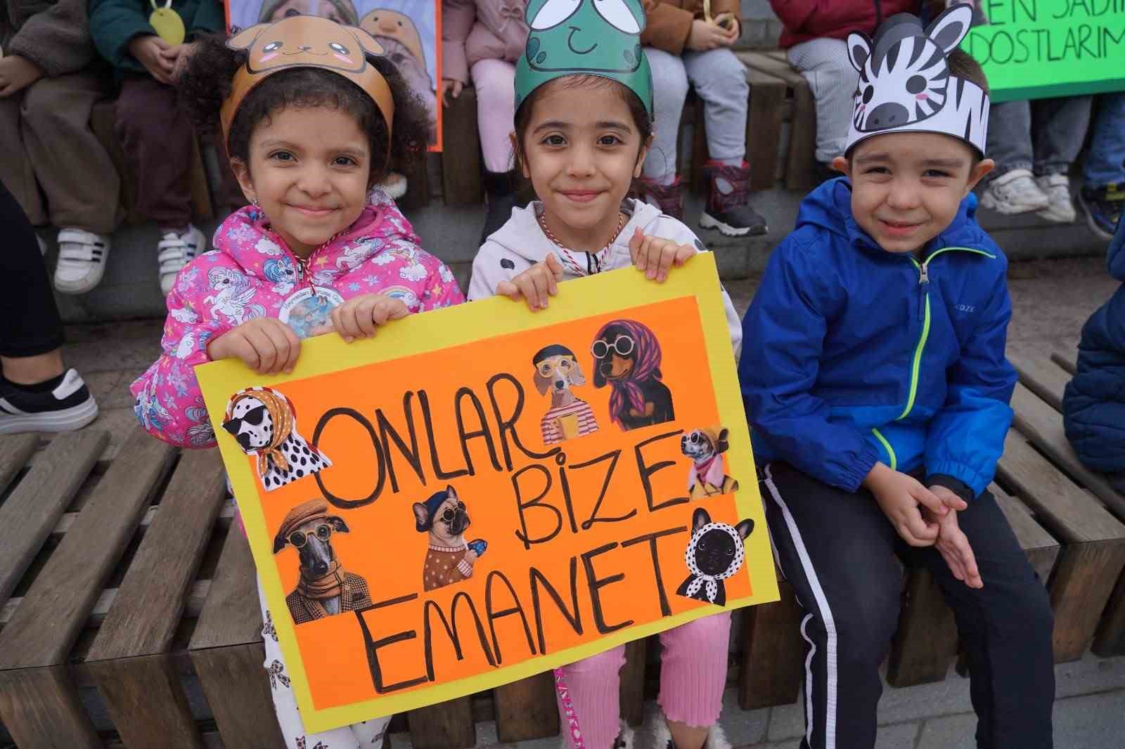 Öğrenciler barınak ziyareti yaparak hayvanları sevdi ve mama verdi
