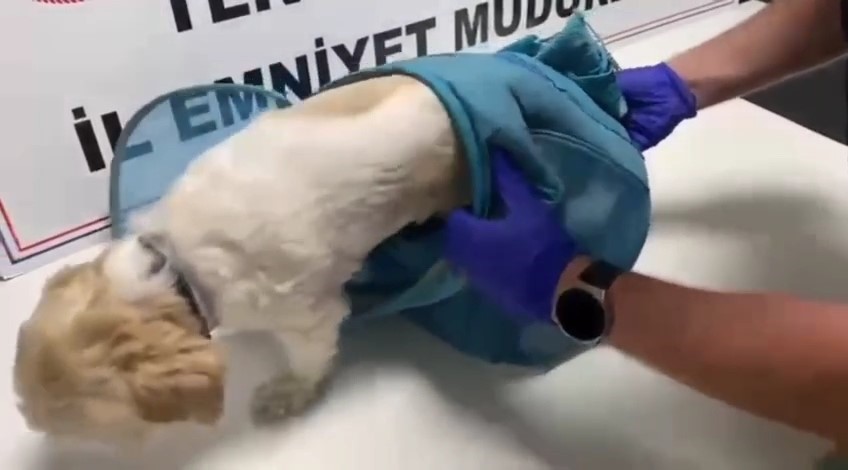 Pes dedirten yöntem: Uyuşturucuyu evcil hayvan pusetine gizlediler
