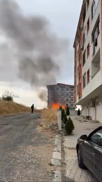 Pire kovarken kümesten oldu
