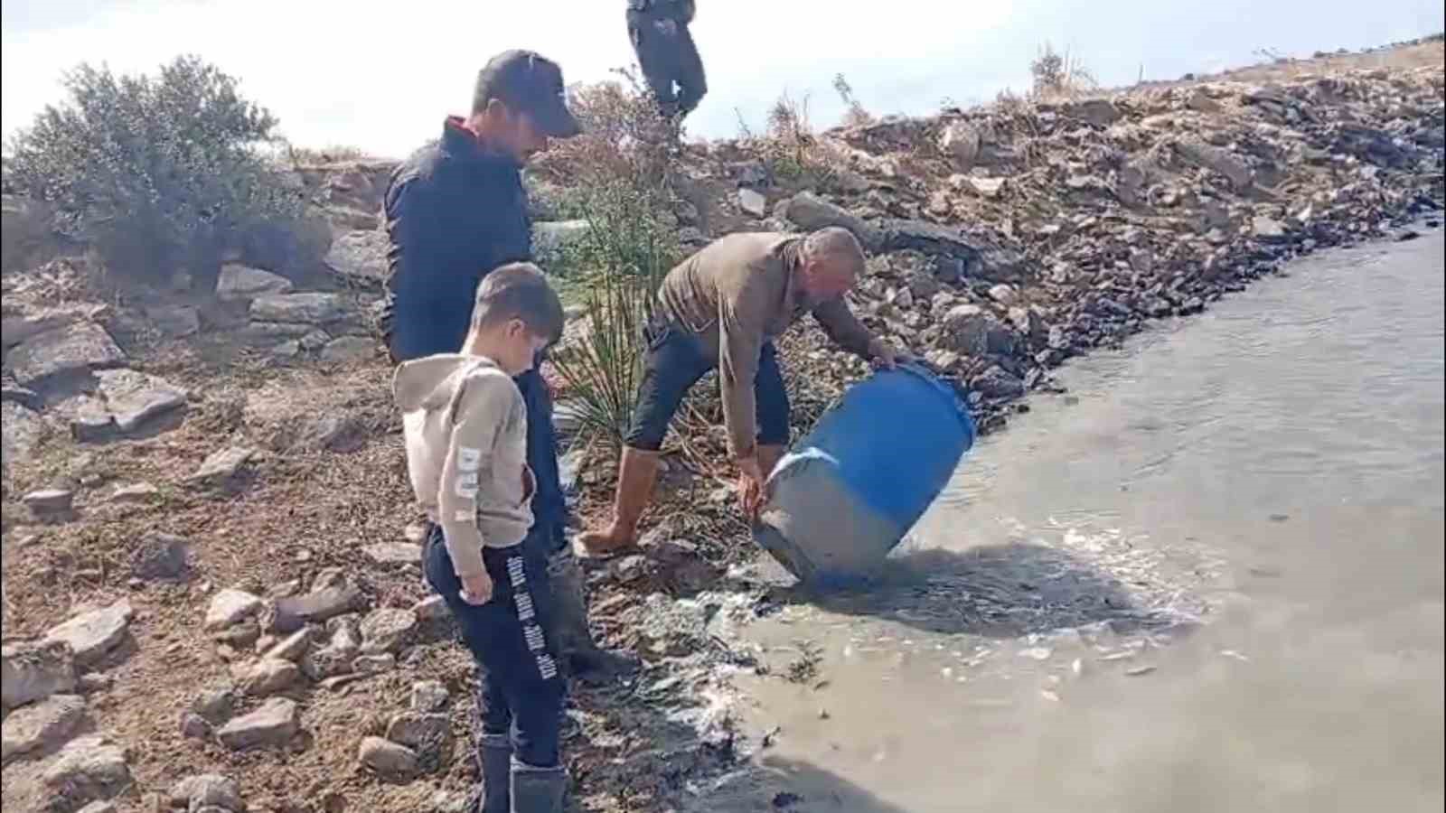 Sulama kanallarında mahsur kalan balıklar kurtarıldı
