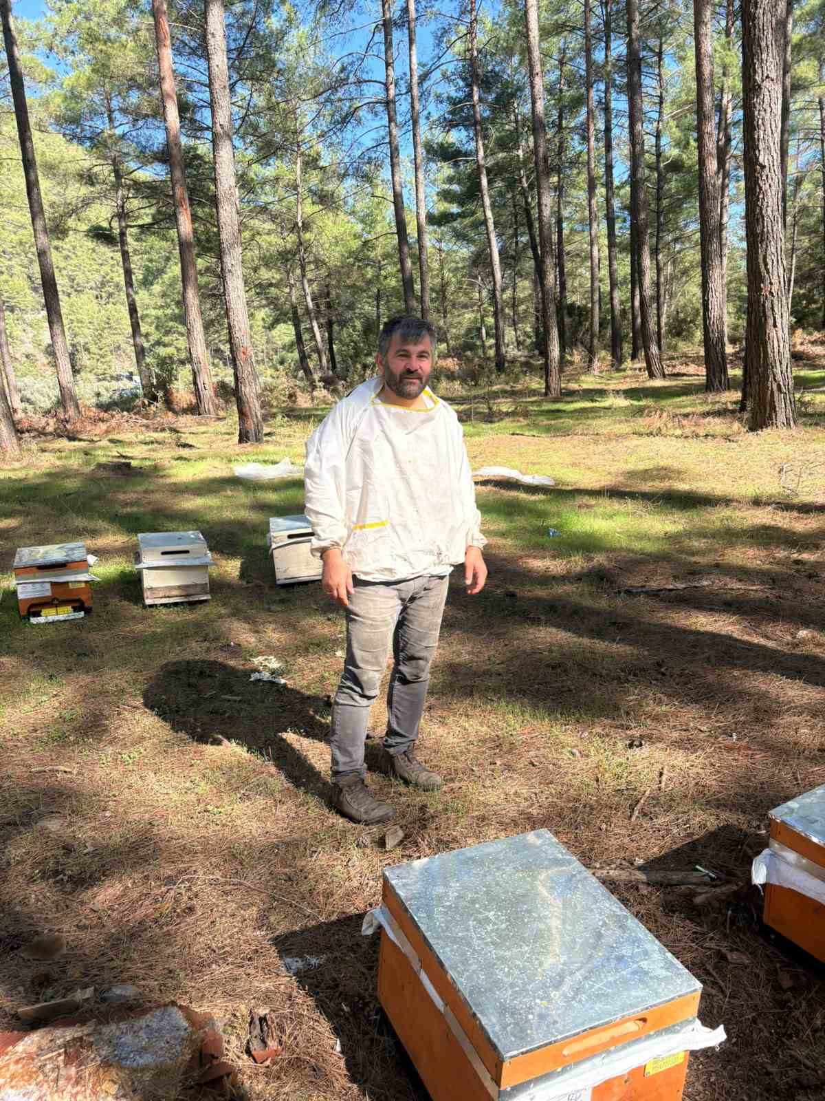 Tecrübeli arıcıdan bal tavsiyeleri: "Mevzuata uygun her bal, en kaliteli bal değildir"
