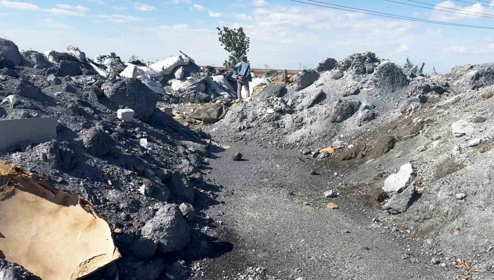 Tekirdağ’da çevre katliamı büyüyor
