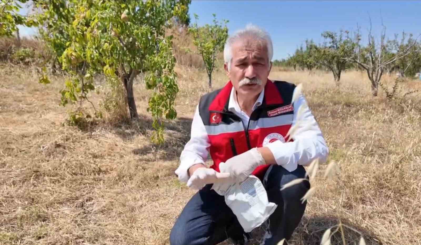 Tekirdağ’da çiftçiye tarla faresine karşı zamanında mücadele çağrısı
