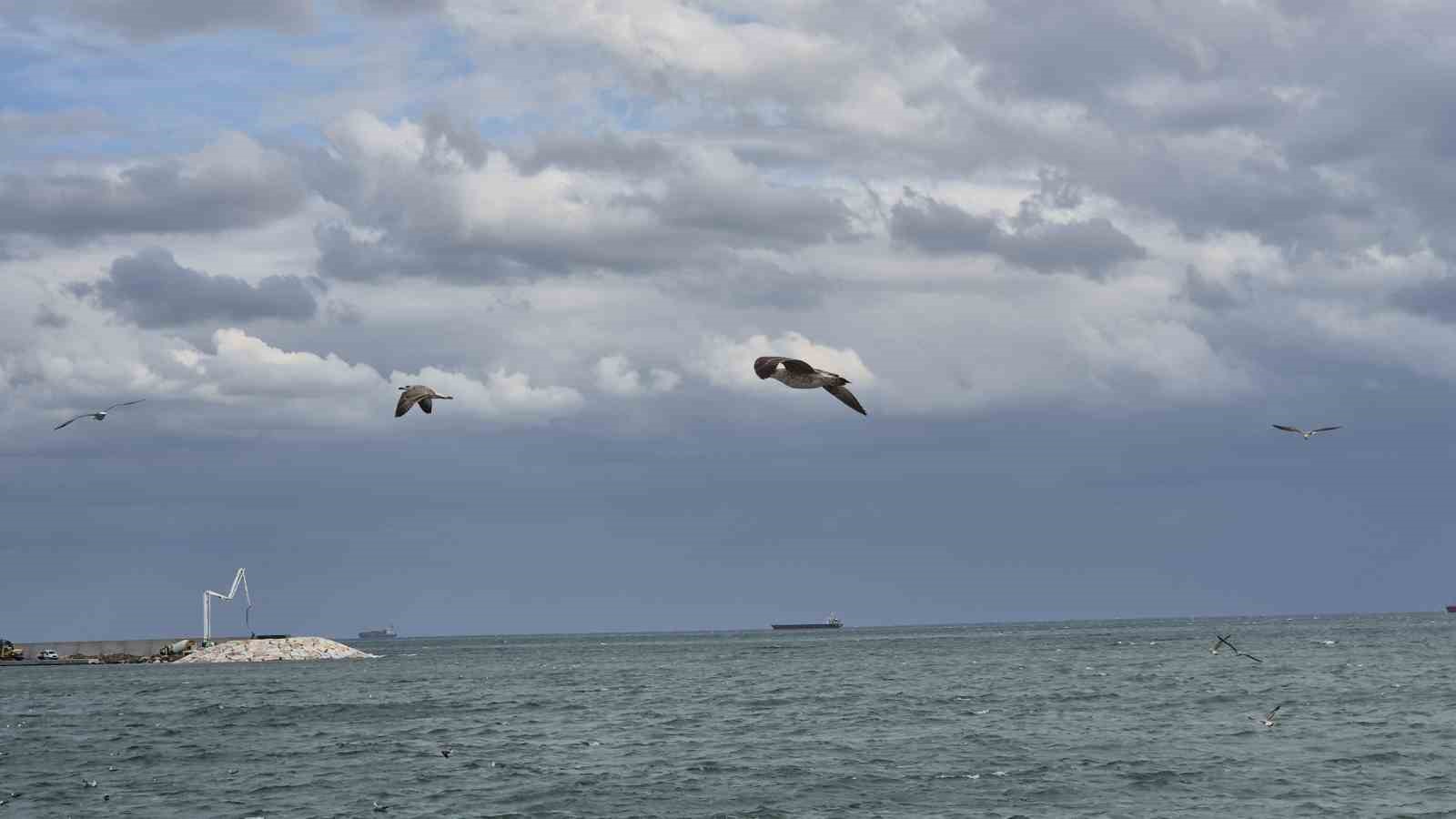 Tekirdağ’da ’kestane karası’ fırtınası
