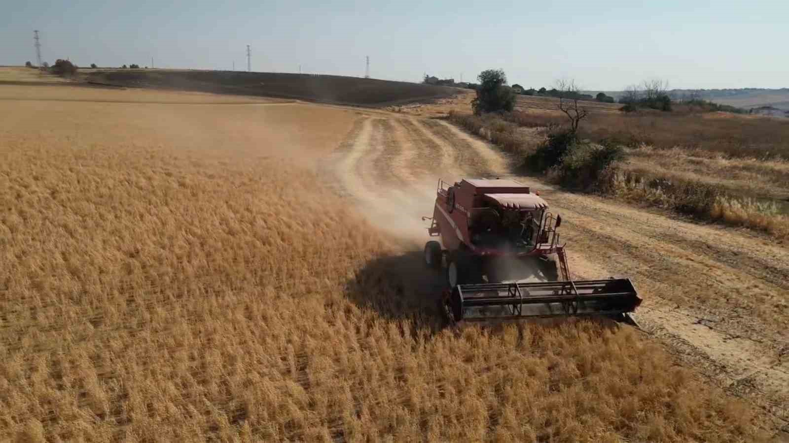 Tekirdağ’da sertifikalı nohut hasadı
