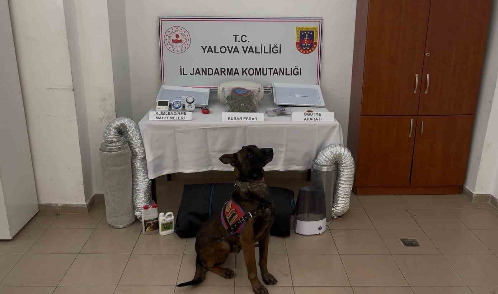 Yalova merkezli 3 ilde göçmen kaçakçılığı operasyonu: 3 tutuklama
